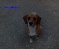 /album/rodicia/otec-benny-1-jpg/